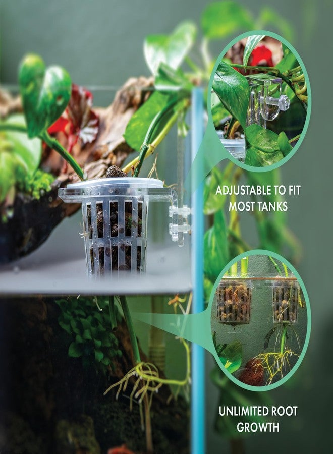 SubstrateSource Upgraded Acrylic Adjustable Clear Aquarium Plant Holder, Premium Aquarium Planter, Sturdy Aquarium Pothos Holder for Optimal Plant Growth (Small) - Image 3